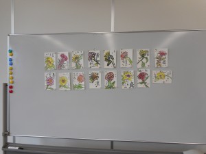 DSCN2299