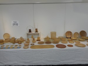 DSCN5088