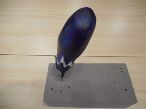 DSCN7489