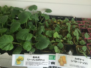 farm2